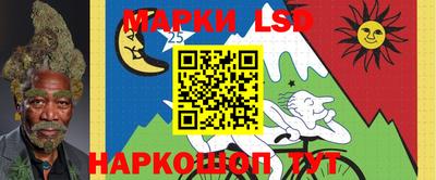 МДПВ Камышлов