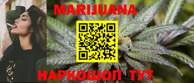 МДПВ Камышлов
