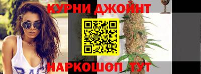 МДПВ Камышлов