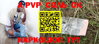 МДПВ Камышлов