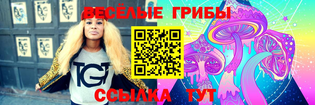 Галлюциногенные грибы Psilocybe Кулебаки