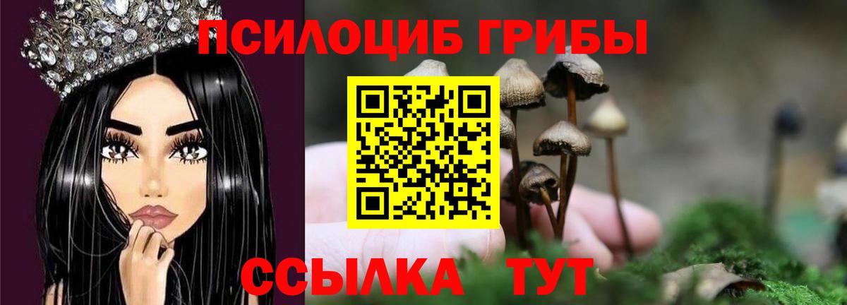 Галлюциногенные грибы прущие грибы  Галлюциногенные грибы прущие грибы  Кулебаки  Вход с VPN 